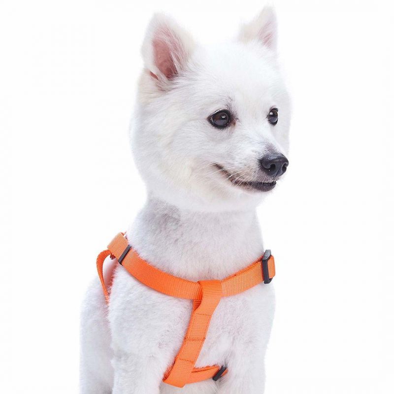 Safety Nylon Easy Walk Pet Dog Lift Chest Harness with Nice Buckle