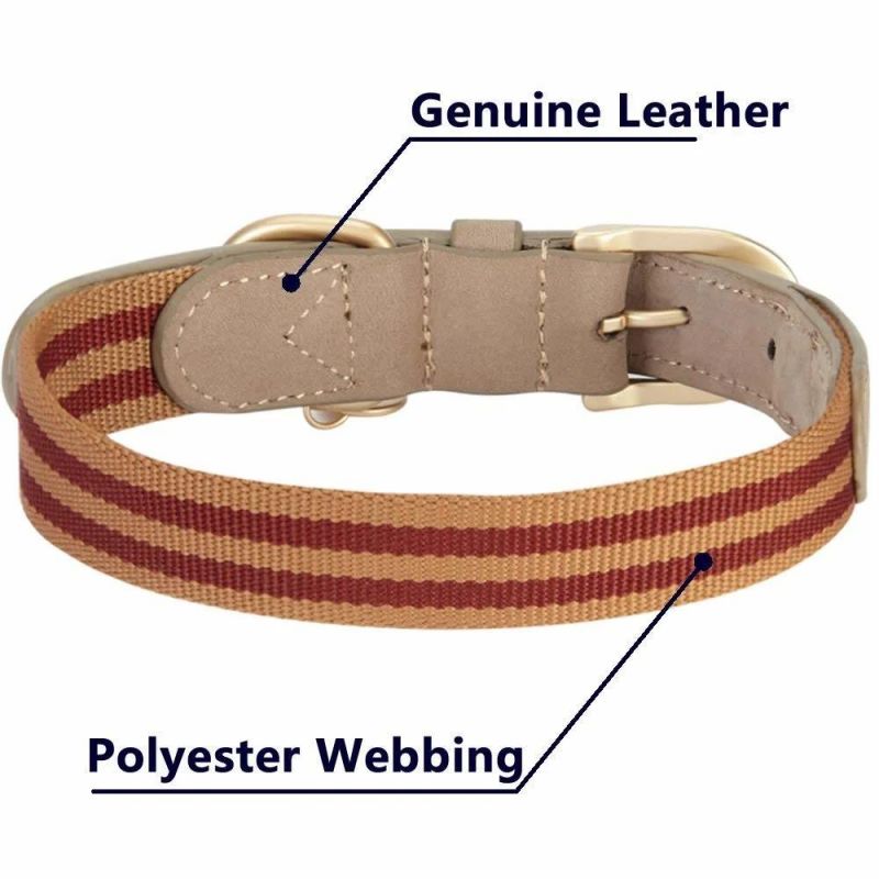 Genuine Leather Dog Collar Duty Pet Collar for Large Medium Dog Adjustable