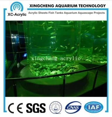 80mm Thick Acrylic Material Aquarium for Aquarium Project