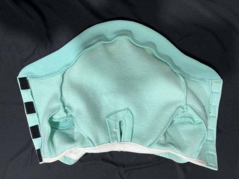"Summer Love"Printing Pet Products Pet Hoodie Dog Hoodie Designer Clothes