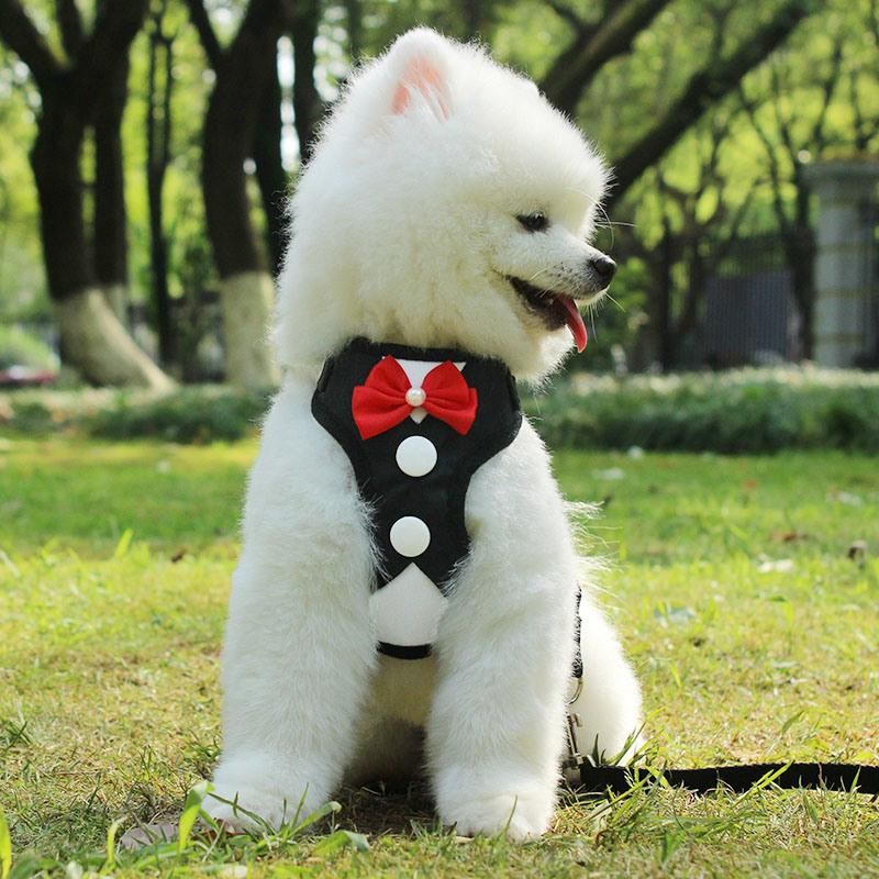 Mesh Small Dog Harness Nylon Breathable Puppy Dog Harness Vest Pet Walking Harnesses