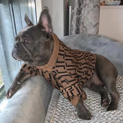 on Sale Pet Clothes Pet Letters Brown Autumn and Winter Warm Round Neck Pullover Cat Dog Sweater From China Supplies