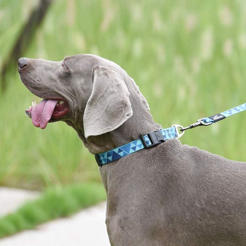 Waterproof Dog Collar Durable PVC Collars for Large Dogs