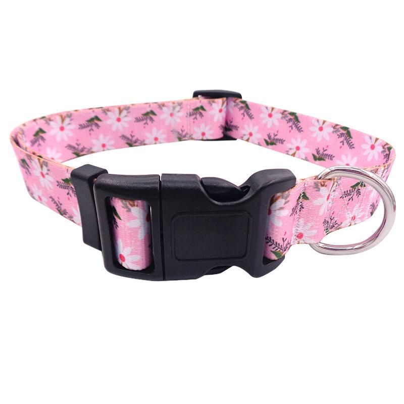 Double Buckle Collar Pet Collar Comfortable Material Dog Collar