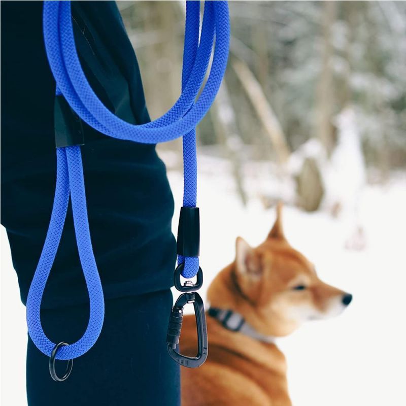Strong Large Nylon Climbing Rope Leash with Autolocking Aviation Aluminum Carabiner Mountainside for Pets Dogs Training Running