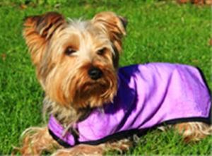 Cooling Vest for Dogs/Pets Wear/Pet Garment/Pet Clothing