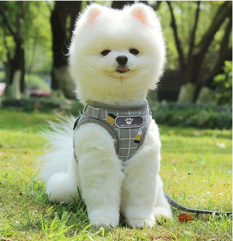 Cute and Comfortable Reflective Dog Vest Type Traction Leash Collar Leash Rope Running Walking Safe Night Pet Products Harness