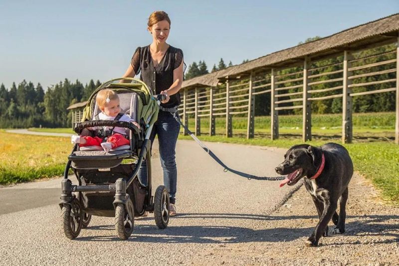 Hands Free Dog Leash for Running, Comfortable Waist Belt & Adjustable Length!