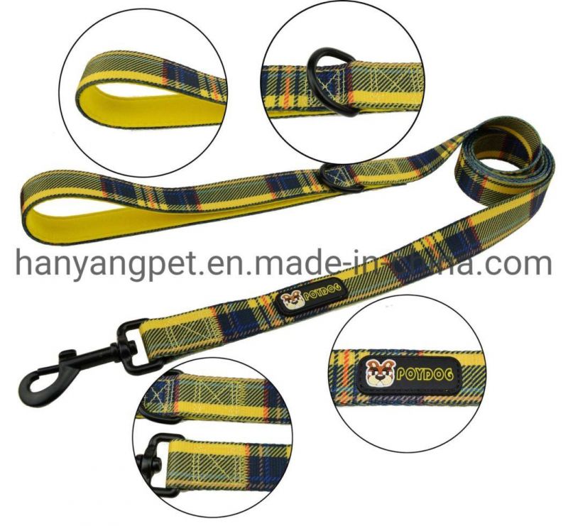 OEM Manufacturer Custom Polyester Webbing Padded Handle Dog Leash