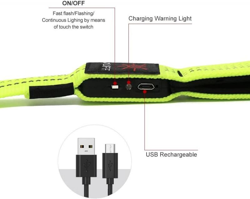 USB Rechargeable 47.2 Inch 120 Cm Reflective Night Safety Pet Leash