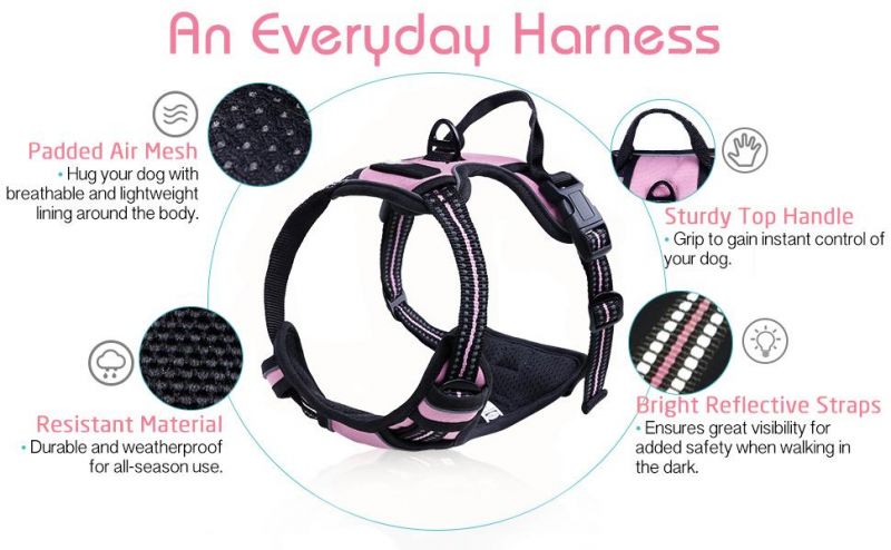 Wandering Double Soft Mesh Harness for Dogs & Cats of Multiple Sizes and Colors