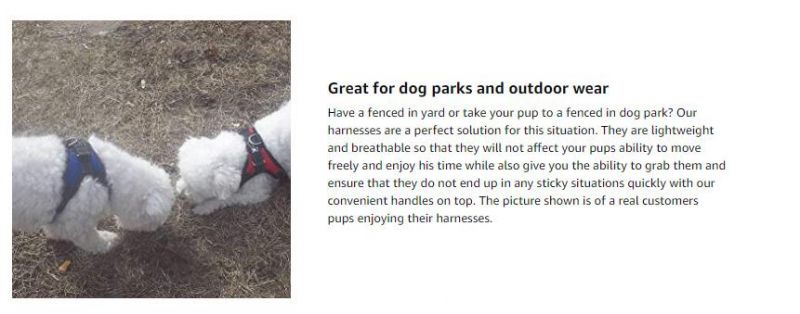 Easily Applied and Taken off, Friendly Pet Products, Dog Harness