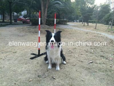 Pet Dog Agility Slalom with Multi Function