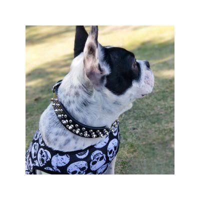 2021 Hot Selling Amazon Hot Style Microfiber Material Collars for Labrador Chow Chow Samoyed