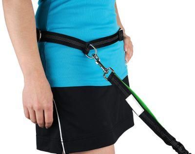 Great Quality Retractable Bungee Lead Dual Handles Hands Free Dog Running Leash