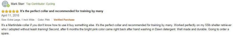 Escape-Proof Custom Dog Collars Adjustable Martingale Collar