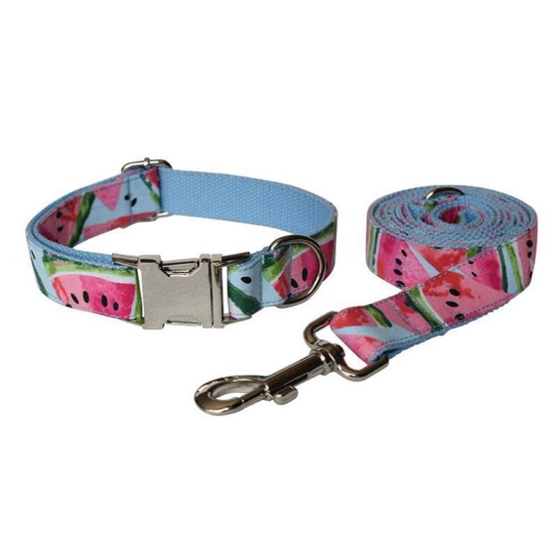 Dog Collar Pet Funny Adjustable Collars with Cute Leash for Small Medium Large Dogs Cats Collars Set