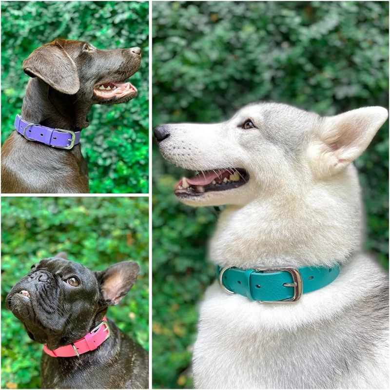 Heavy Duty Dog Collar 10X Stronger Than Leather Waterproof Dog Collar