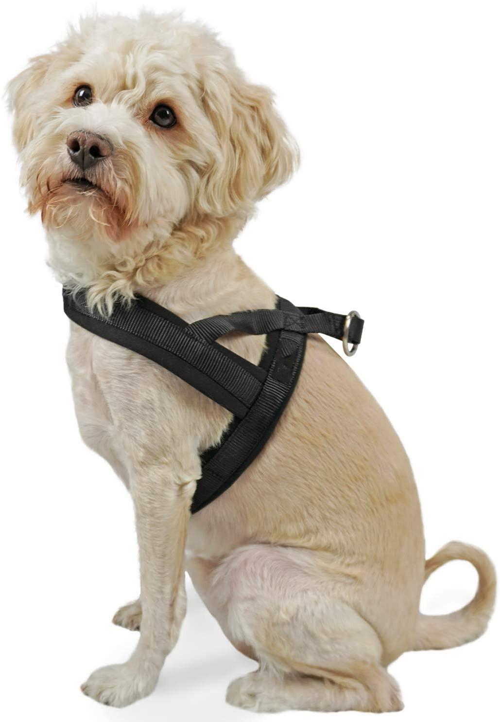 Vest Harness with Padded Adjustable Neoprene Pet Product