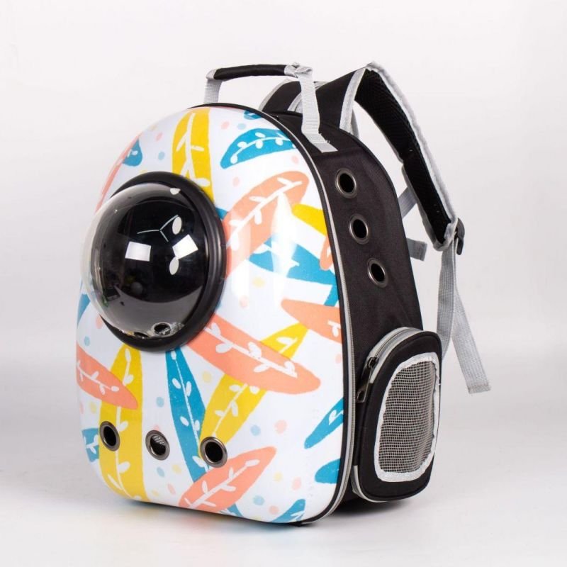 Space Capsule Bubble Pet Travel Carrier