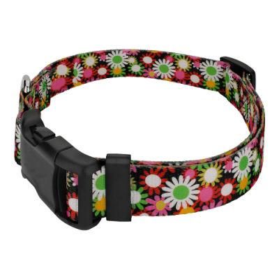 New Design Wholesale Personalized Durable Detachable Dog Collar