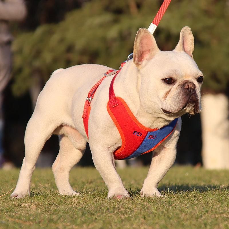 Custom Print Logo Wholesale Running Training Dog Harness Dog Leash and Collar No Pull Dog Harness