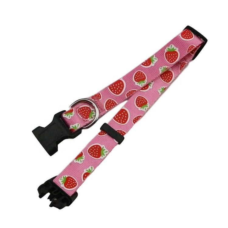 New Design Custom Silkscreen Printed Nylon Pet Dog Collar
