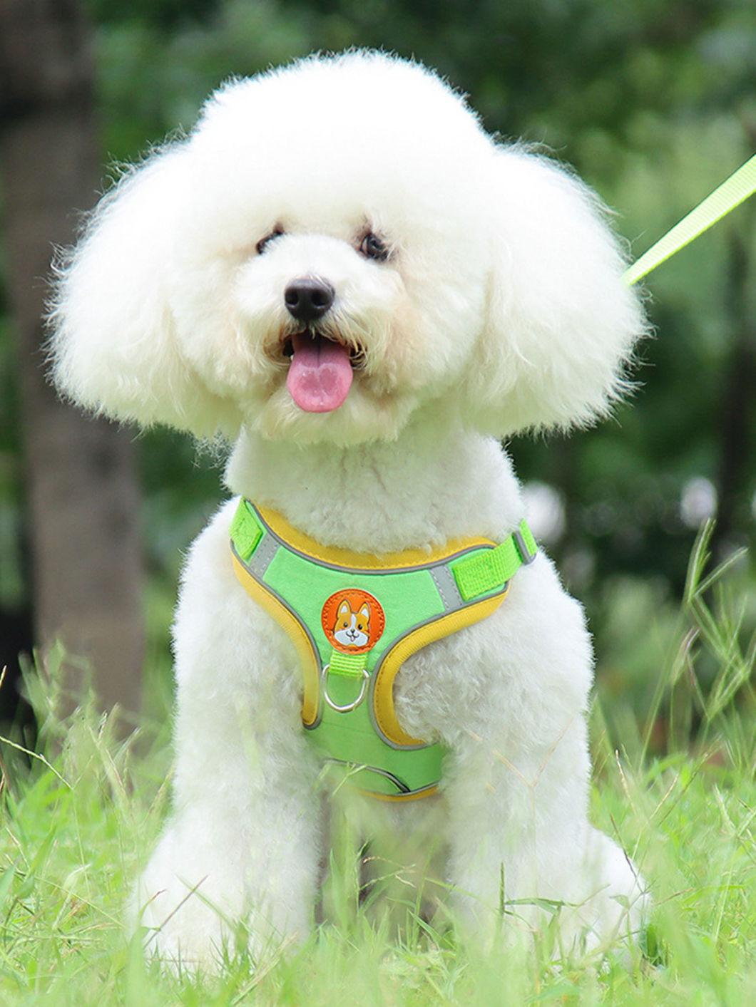 Cute Cartoon Design Dog Harness and Dog Leash