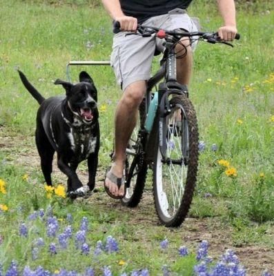 Hands Free Dog Bicycle Exerciser Leash with 550-Lbs Pull Strength Paracord Leash Military Grade