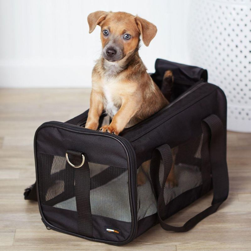 Soft-Sided Mesh Pet Travel Carrier