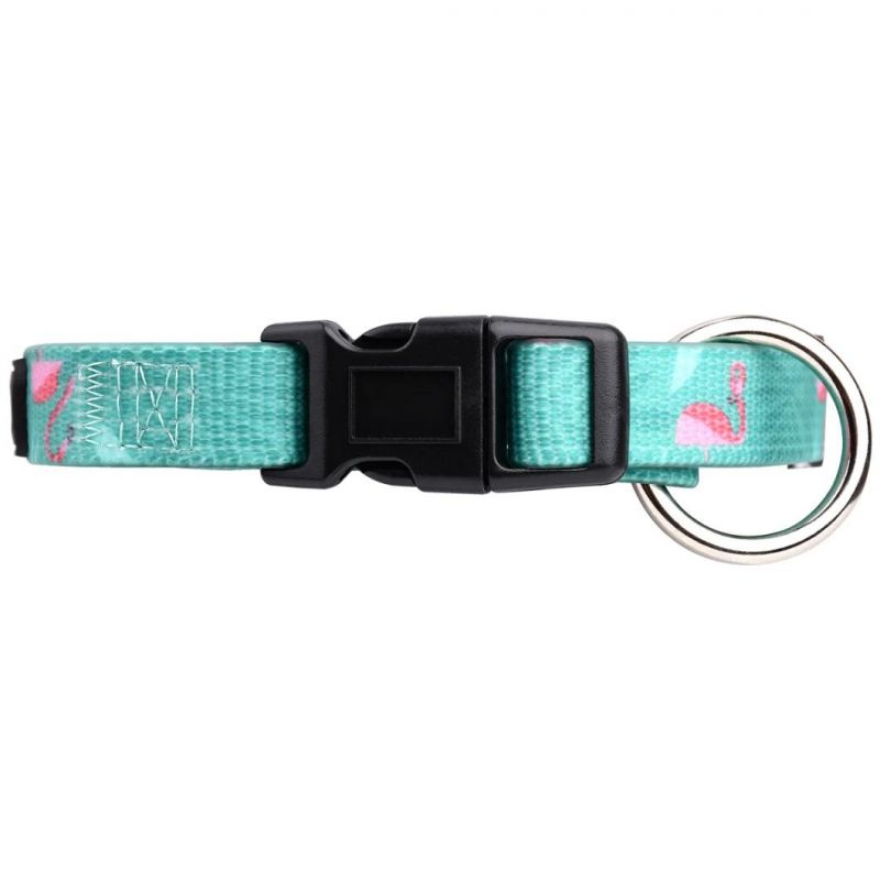 Wholesale Custom Dog Accessories Nylon Pet Collar and Leash