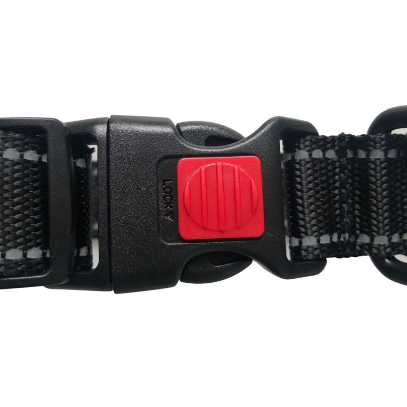 2021 Hot Sales Safety LED Dog Collar and Leash LED Dog Collar