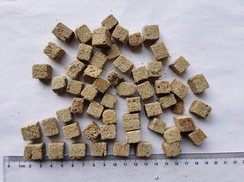 Freeze Dried Tubifex Worm Cubes