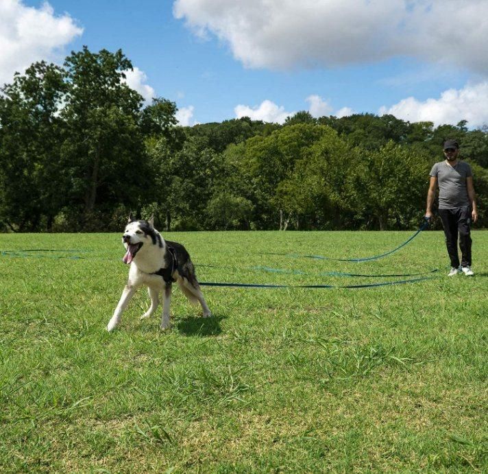 Professional Manufacturer Selling Long Training Dog Nylon Leash
