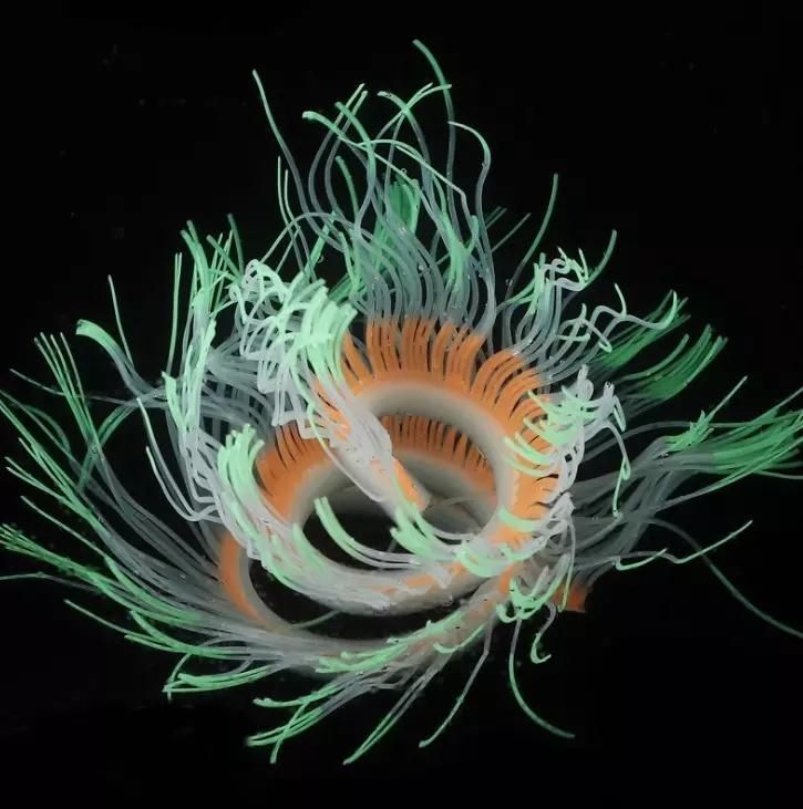 Silicone Simulation Variable Sea Anemone Fish Tank Ornament