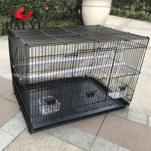 Human Sized 24X24X24 Iron Bird Breeder Cages for Sale in Pakistan in Karachi
