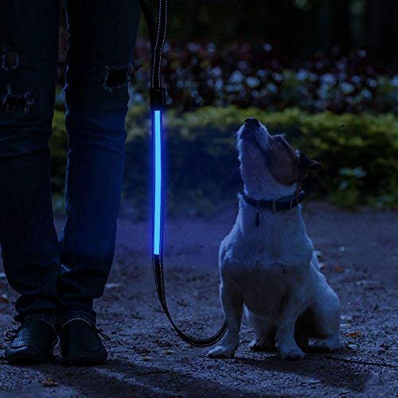 Solar-Powered/USB Rechargeable Waterproof LED Dog Leash