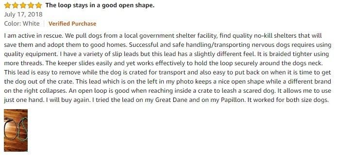 Nylon Dog Leash, Strong and Durable Traditional Style Leash with Easy to Use Collar Hook
