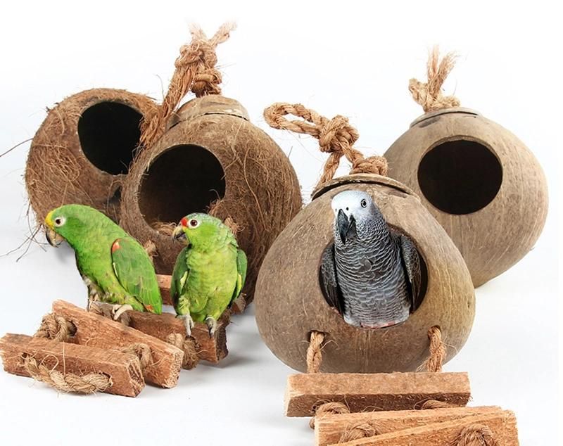 Eco-Friendly Coconut Wood Bird′s Nest Coconut Wood Pet House