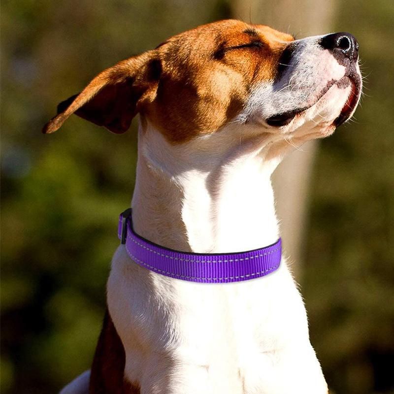OEM Custom Luxury Personalized Logo Adjustable Reflective Pet Collar Blank Plain Nylon Dog Collar