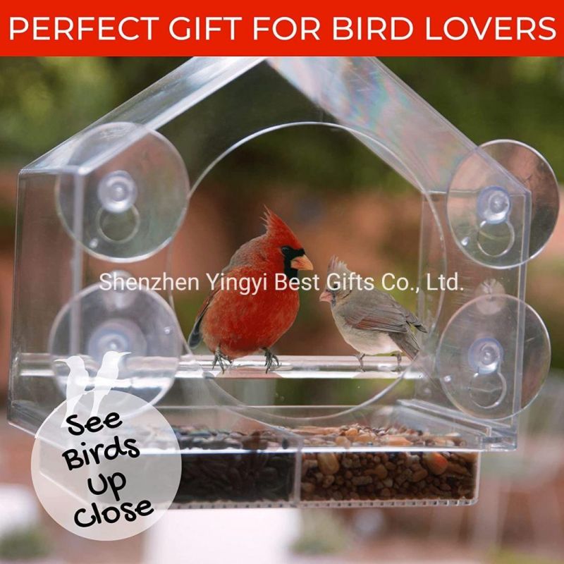 High Quality Custom Acrylic Food Box for Bird