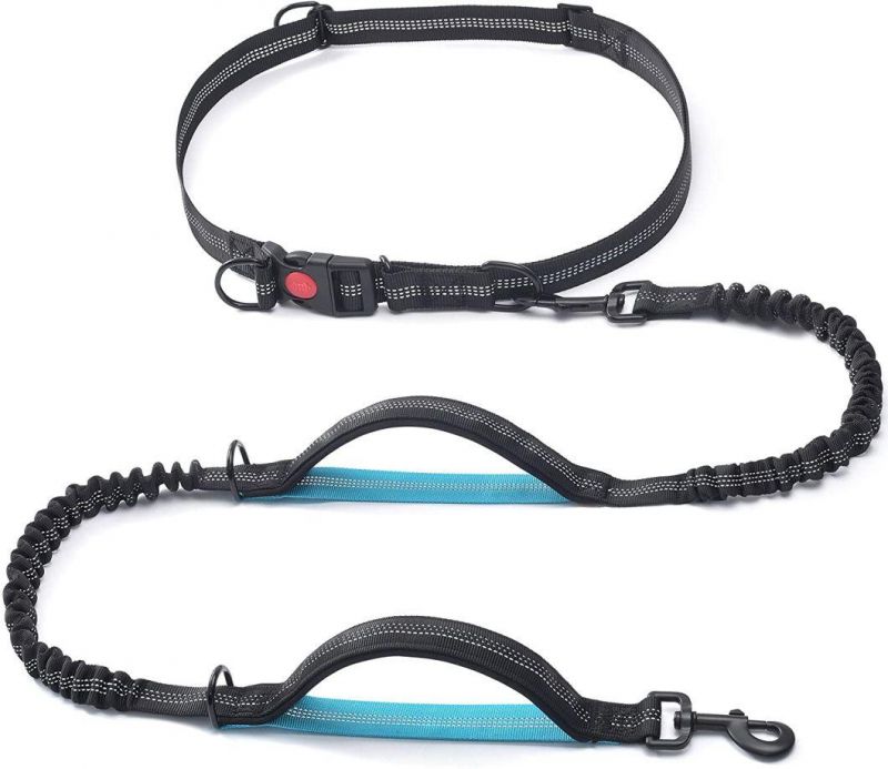 Hands Free Dog Leash with Dual Padded Handles and Durable Bungee