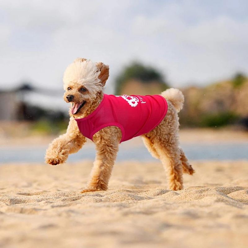 Printed Small Dog Shirt Soft Breathable Girl Puppy Clothes