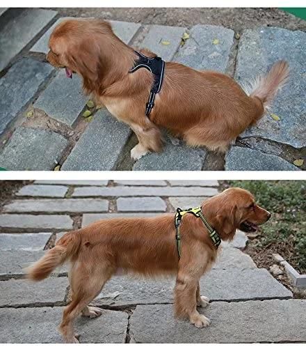 Soft Sponge Padding Pet Dog Harness with Small MOQ
