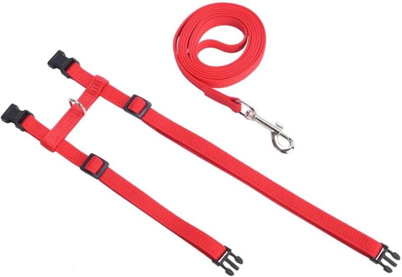 Factory Direct Sale Cat Dog Leash Pet Collars and Leash
