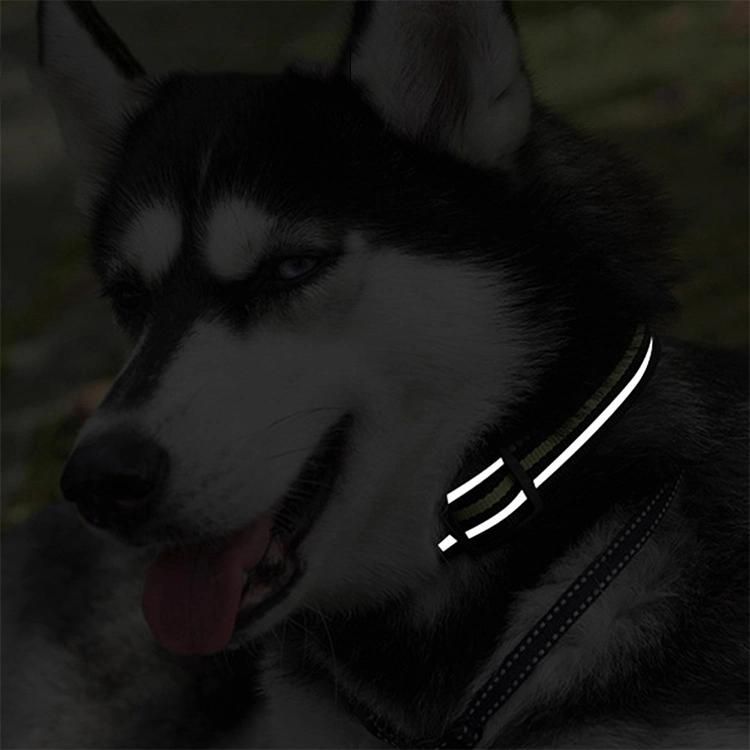 Outdoor Training Dog Collar Thickened Nylon Pet Collar