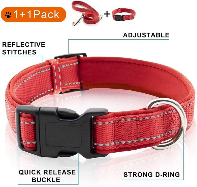 Highly Reflective Nylon Dog Collar with Matching Leash with Fast Delivery