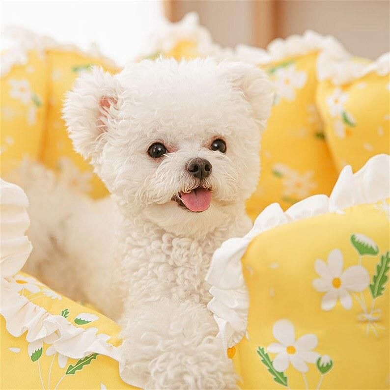2022 New Pet Supply Cute Sofa Cozy Summer Cool Nest Kennel Cat Dog Bed for Small Medium Dog Cat Teddy House
