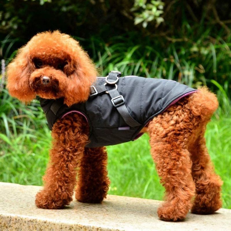 Comfortable and Skin-Friendly Winter Dog Jacket