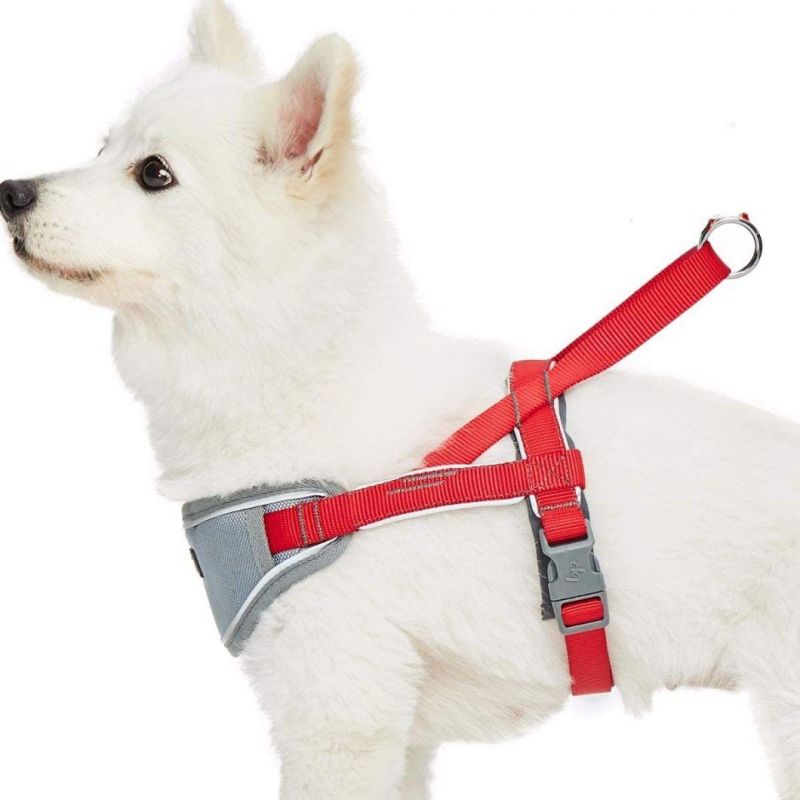 Strong and Durable Neoprene Padded Dog Harness